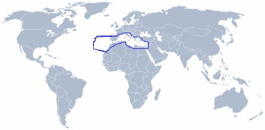 Wereldkaart Pecten jacobaeus